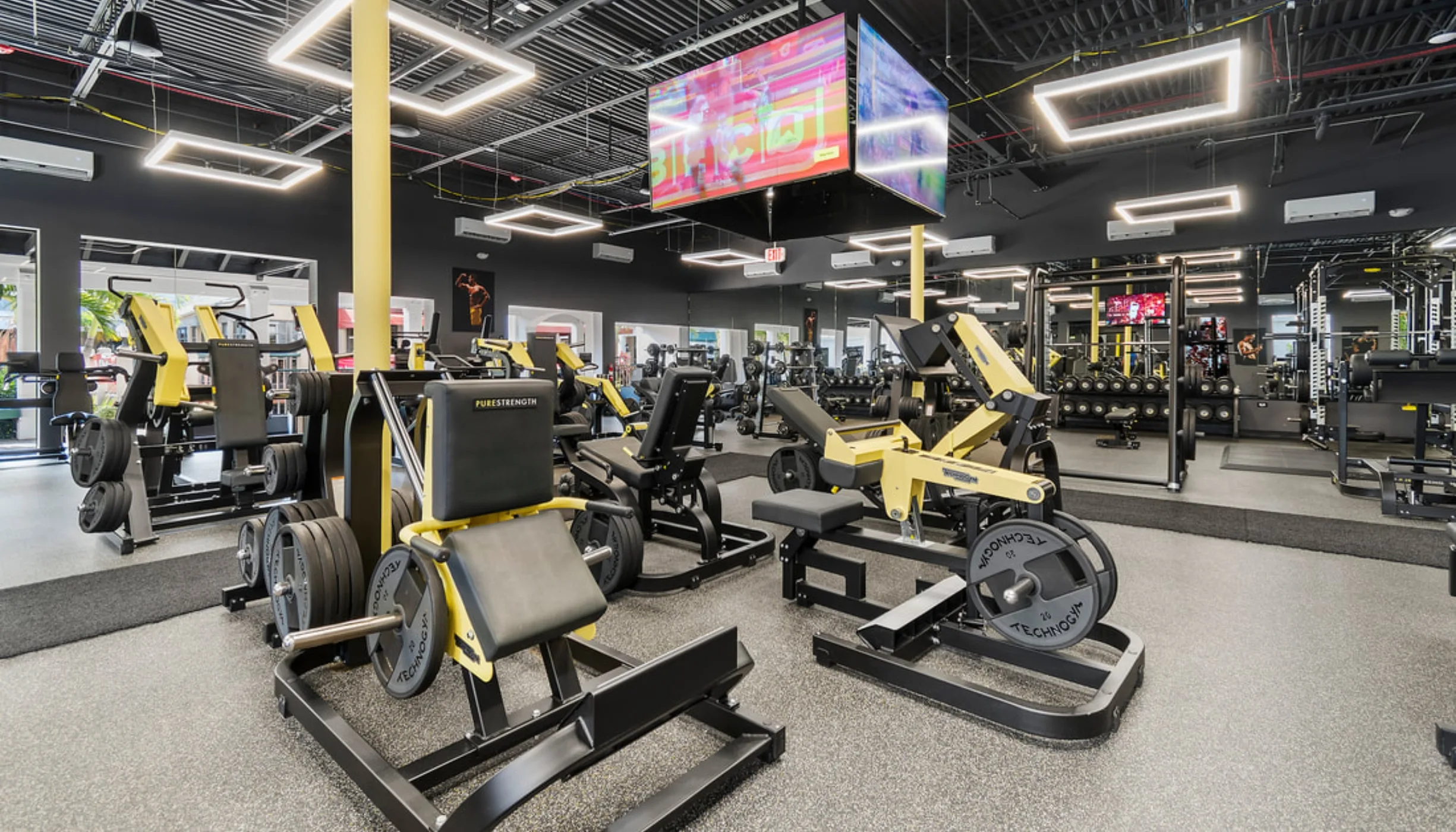 The Future of Wellness: Elevating Your Career Through a Premiere Health and Fitness Institute