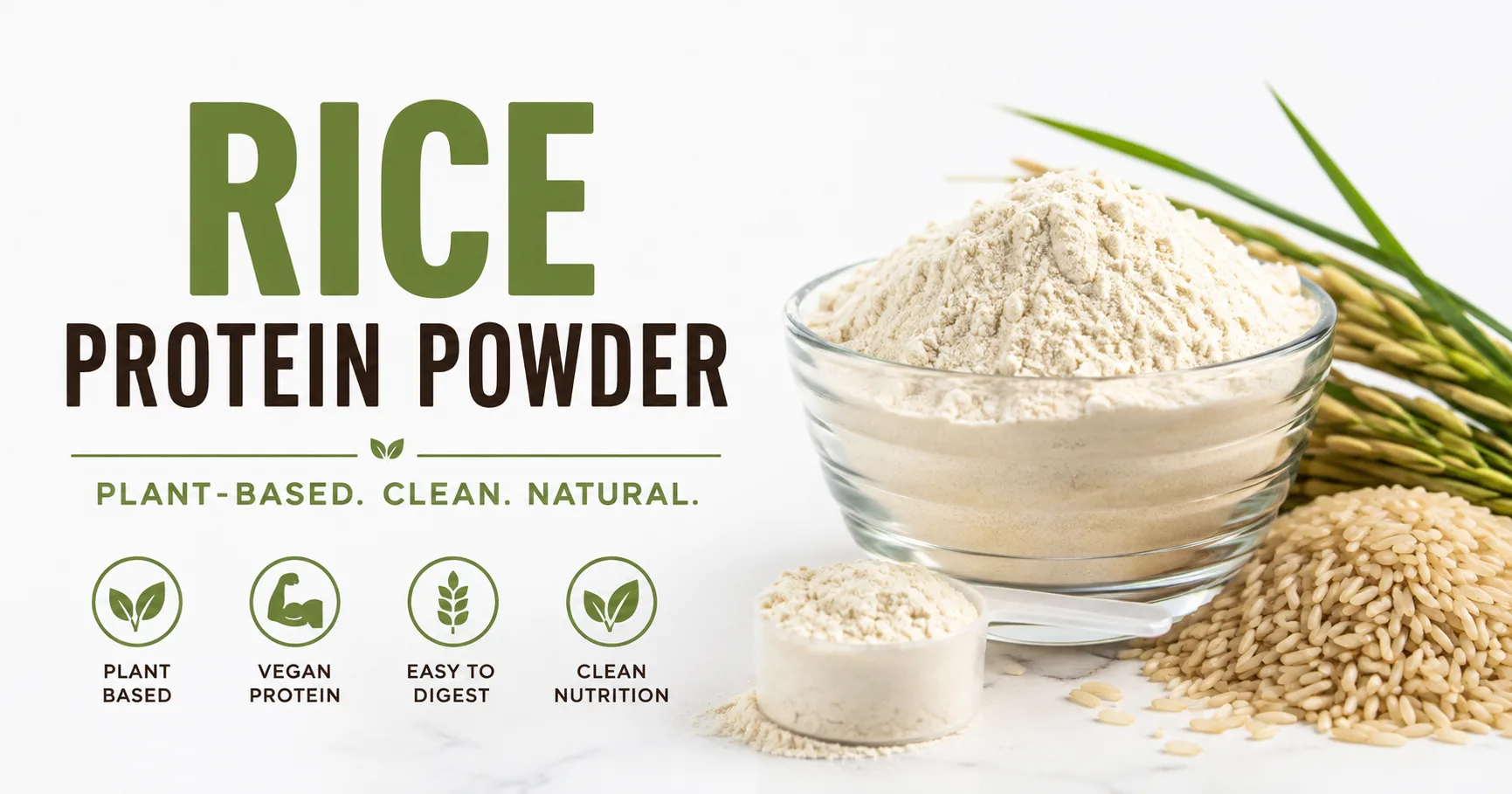 How Rice Protein Powder Is Changing Plant-Based Nutrition in Canada