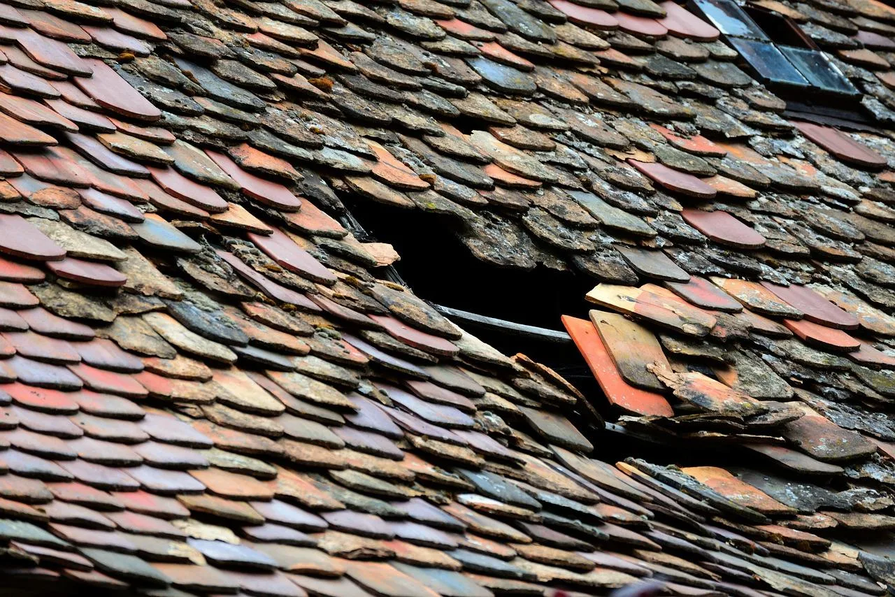 How Can You Tell if Your Roof Has Storm Damage