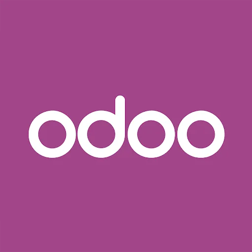 Odoo Functional Consultant in Jaipur: Roles & Benefits