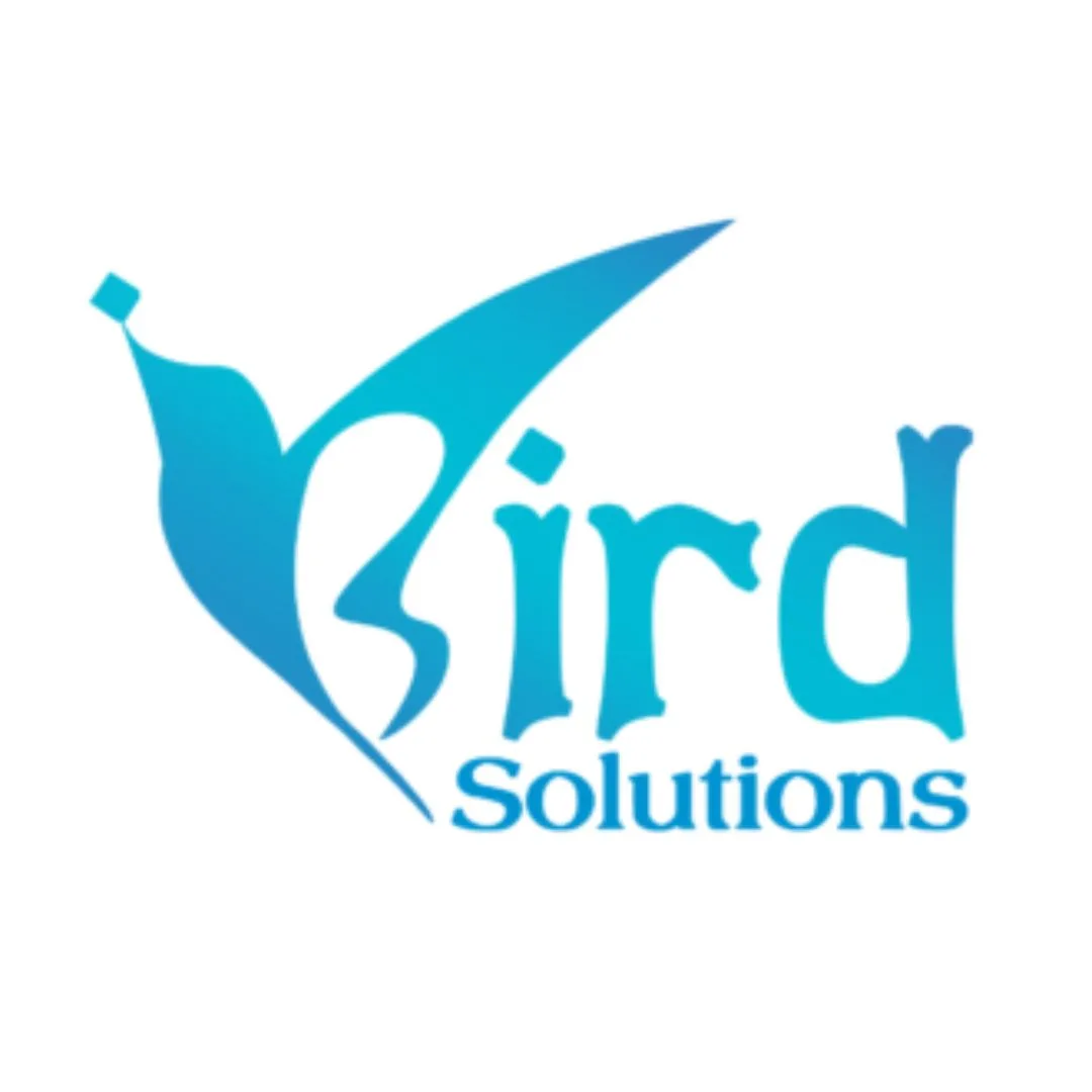 iBird Solutions – AI SEO, Digital Marketing & Website Development Company