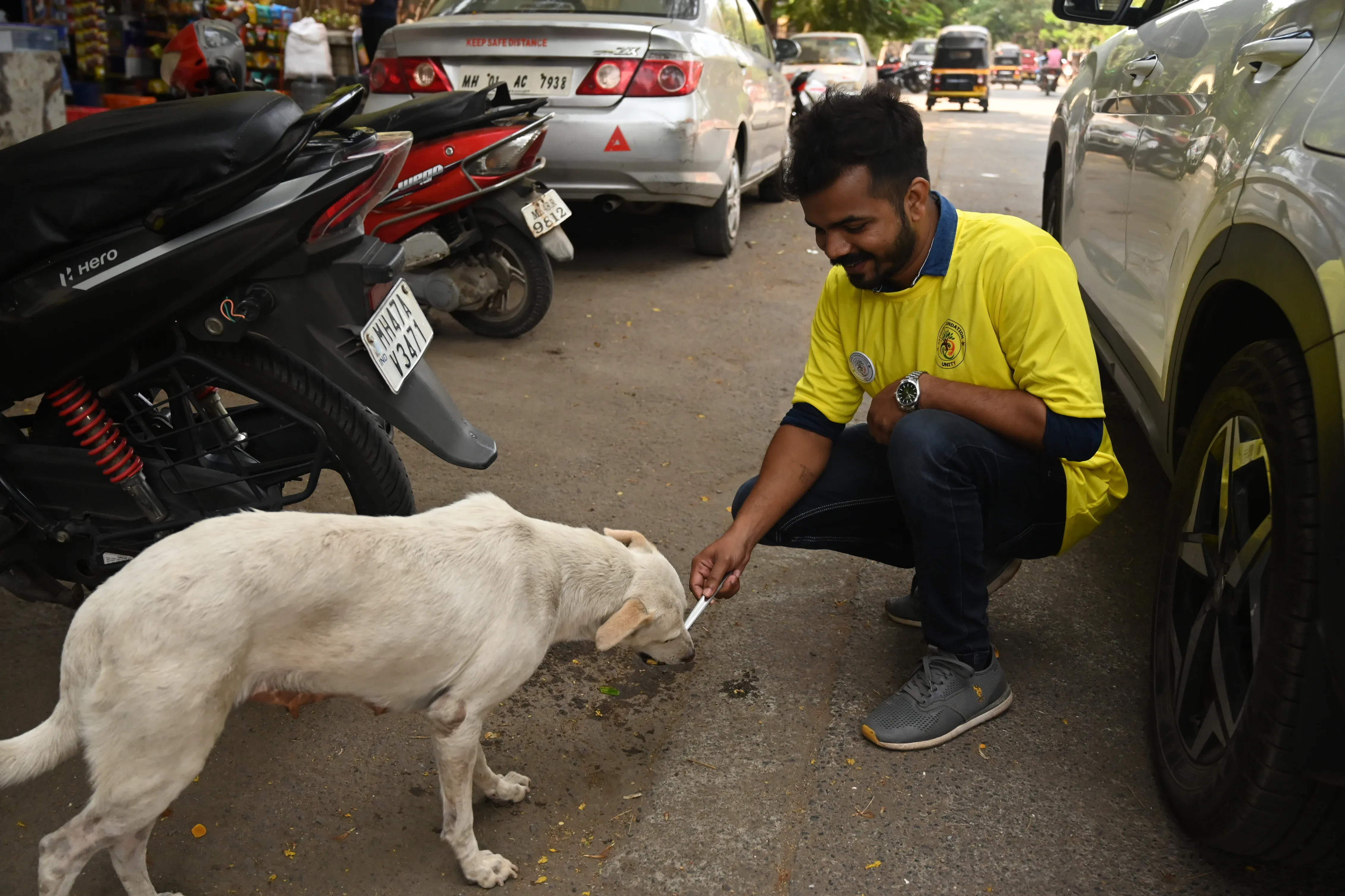 How to Donate for Stray Dogs in Mumbai and Support NGO for Social Work Effectively