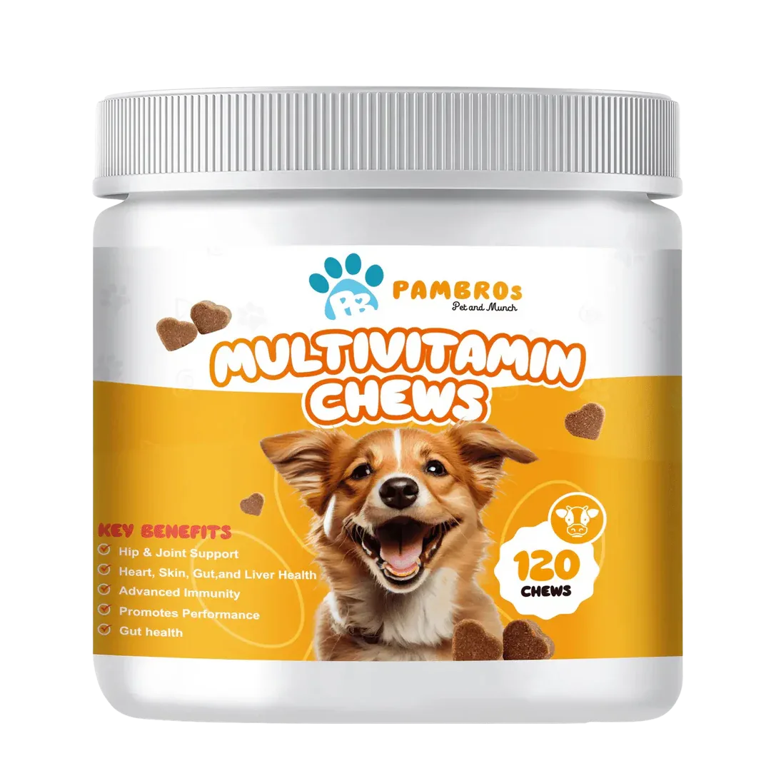 Give Your Puppy the Best Start with the Right Multivitamins