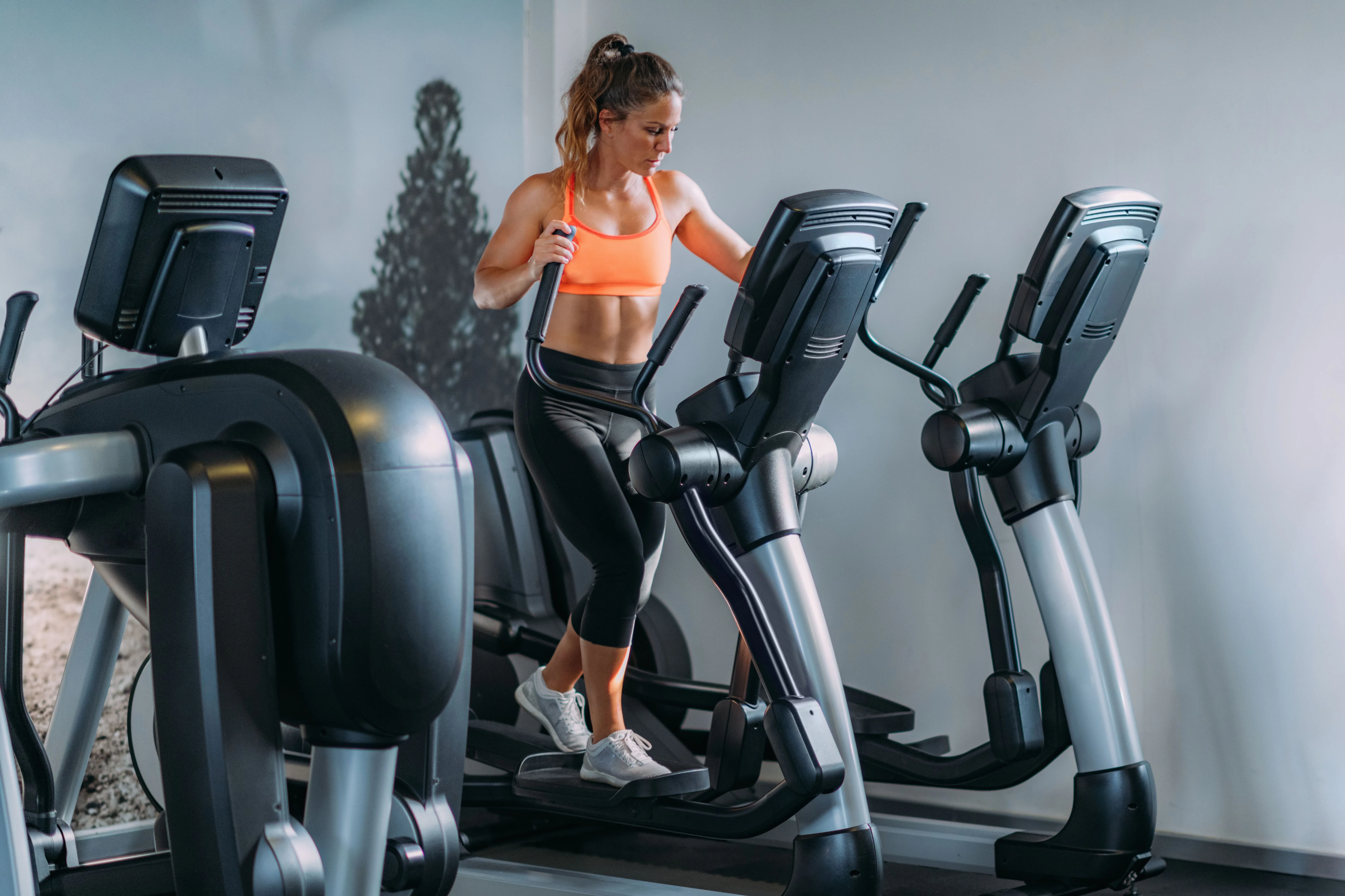 Transform Fitness Spaces Into Luxurious Workout Experiences