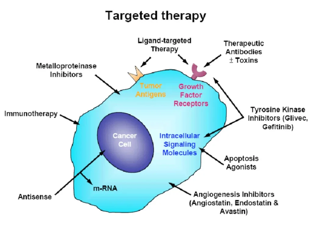 Targeted Cancer Therapy in Gurgaon