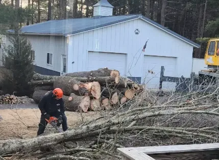 Emergency Tree Removal at Lord's Tree Service LLC: Fast, Safe, and Reliable Solutions