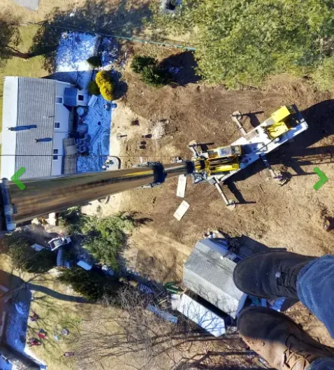 Professional Tree Removal Services