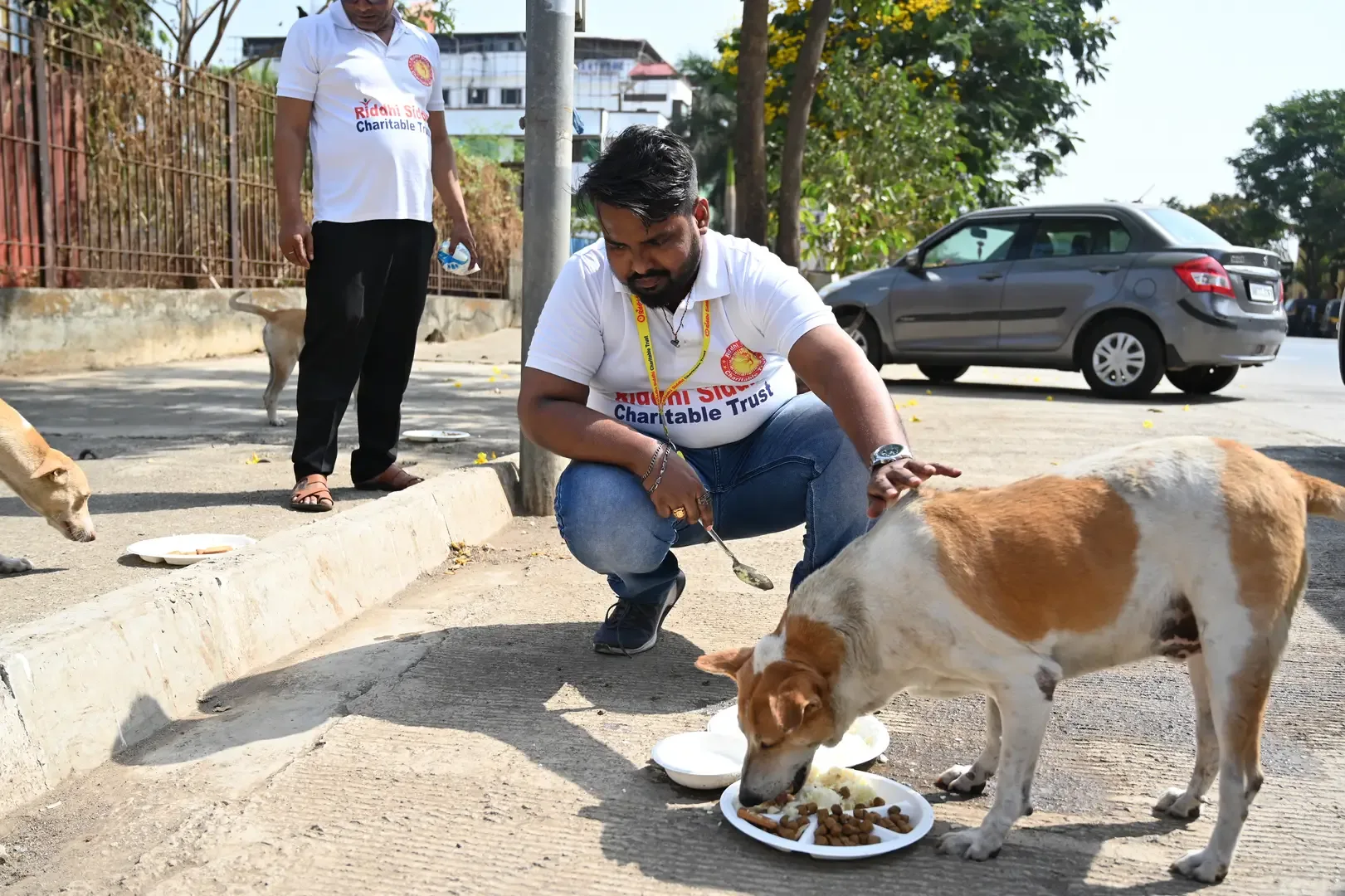 The Rising Impact of Charitable Charities, Donation for Needy, Animal Rescue NGO Mumbai in Modern India