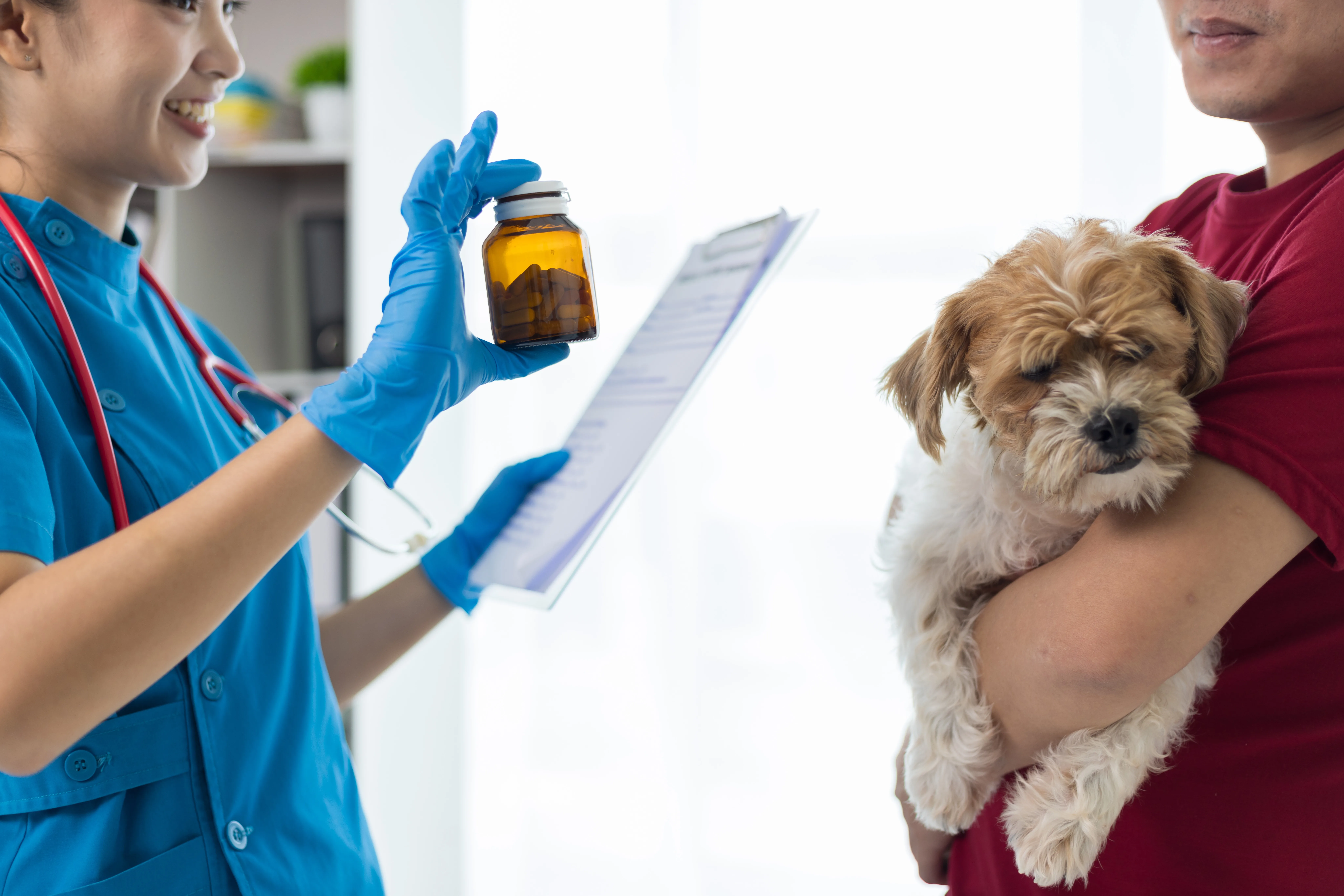 How to Use Pet Medicines Safely: Essential Tips for Pet Owners