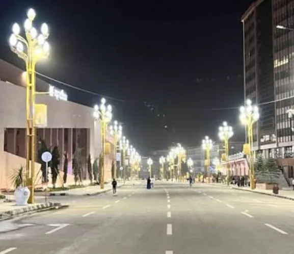 Street lights on Xinhua North Road, Pinghu City, Jiaxing, Zhejiang have been given a new look