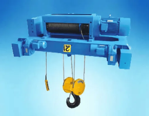 Low-Capacity vs Heavy-Duty Wire Rope Hoists | Vertex Cranes