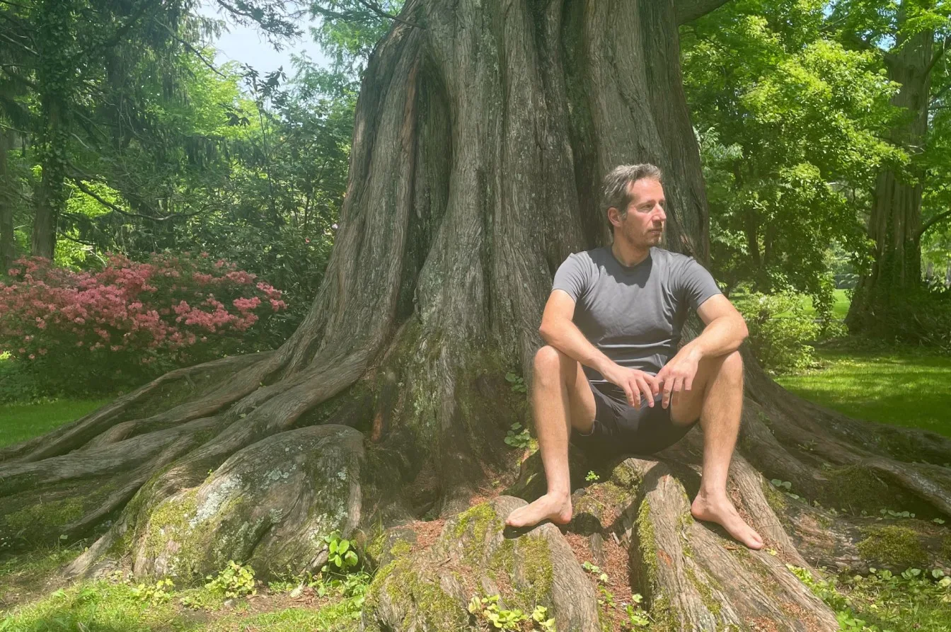 How to Change Your Identity – The Metamorphosis Process