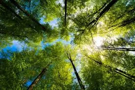 Modern Building Construction: Creating Strong, Sustainable, and Smart Structures