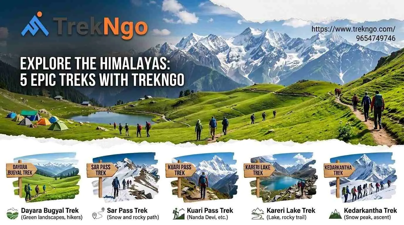 Exploring Top 5 Treks in India for the Ultimate Adventure