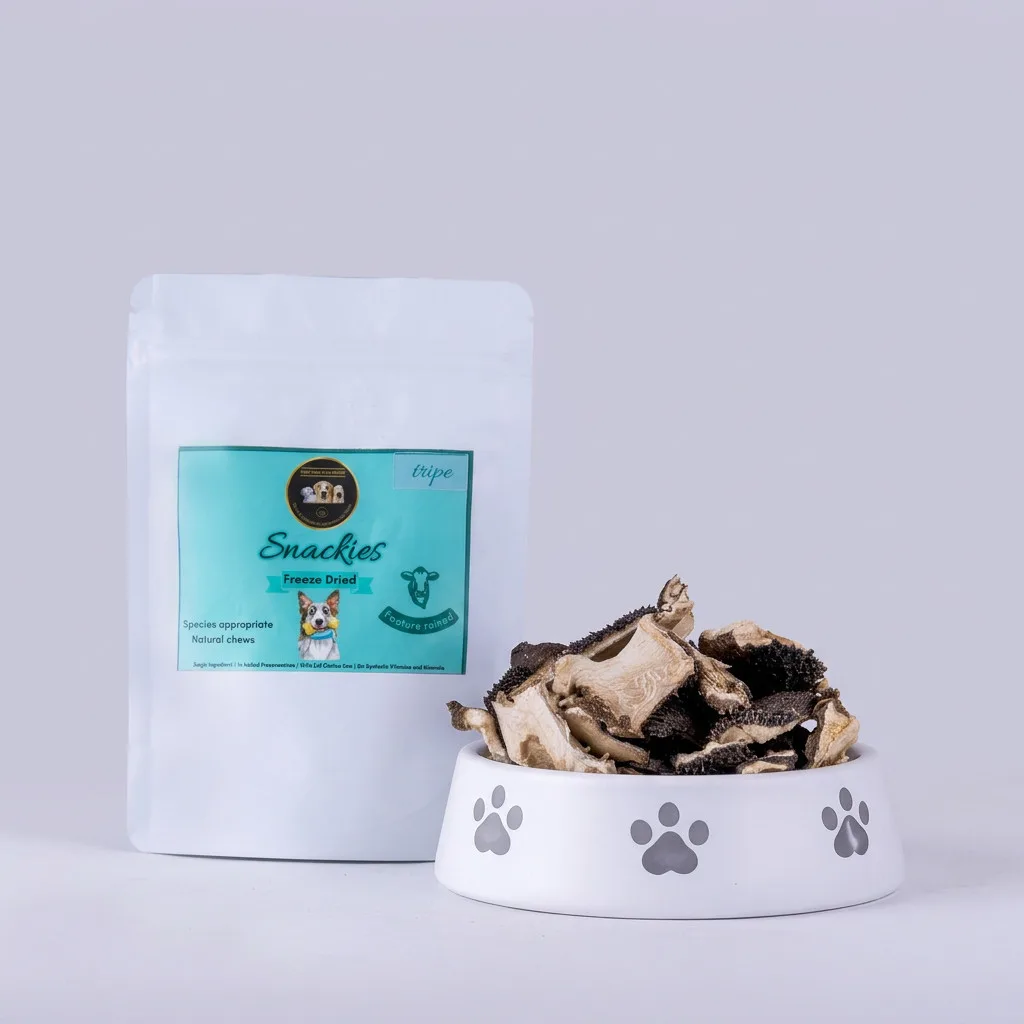 Why Freeze-Dried Dog Food Is the Future of Canine Nutrition in India