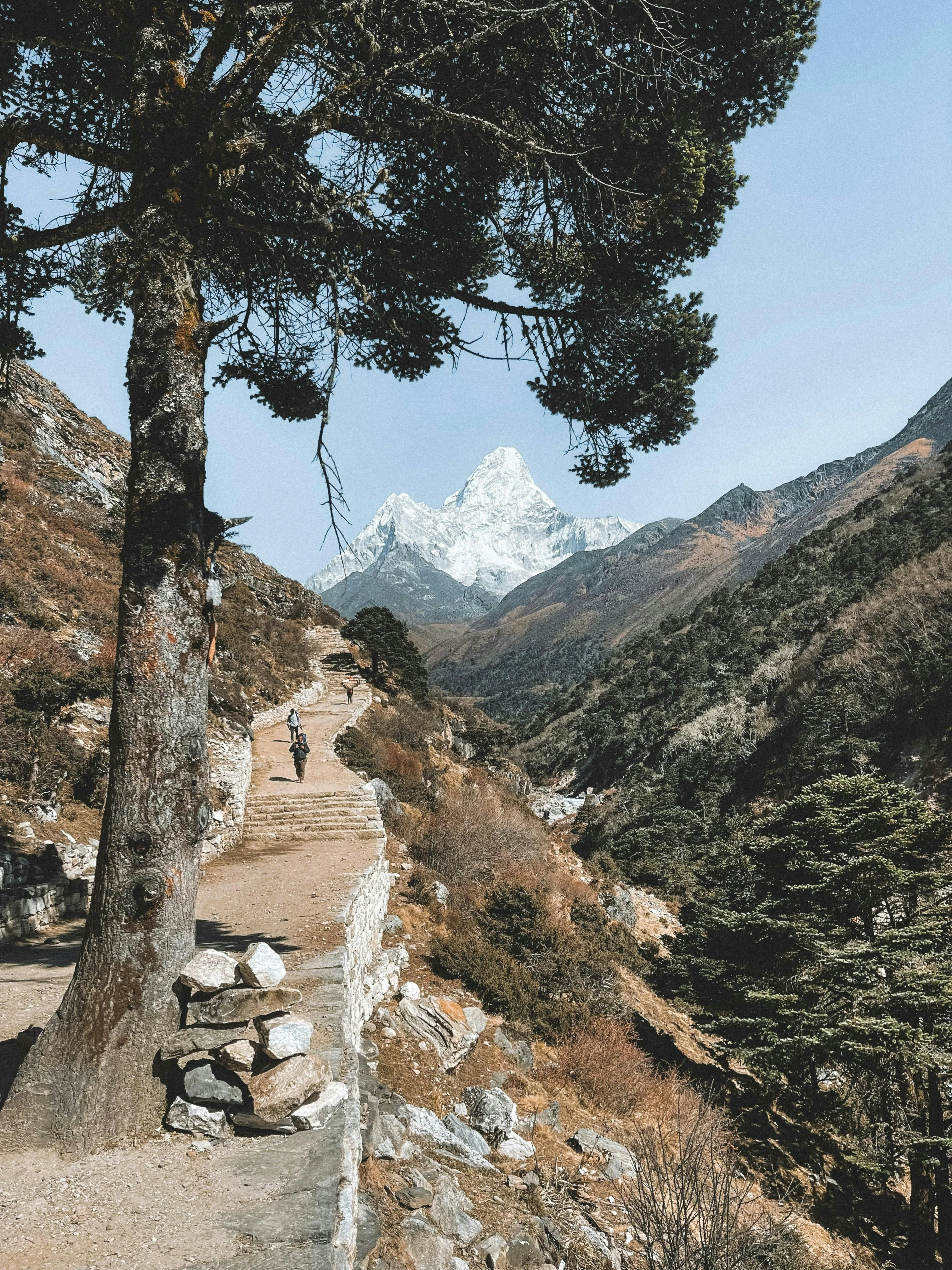 Why Is Ama Dablam So Famous Among Mountain Climbers?