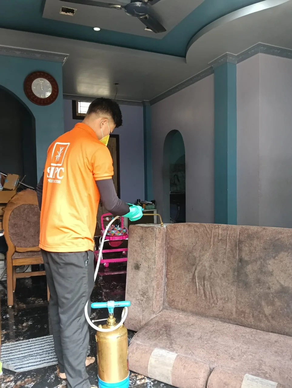 Eco-Friendly Pest Control Solutions for Homes in Goa