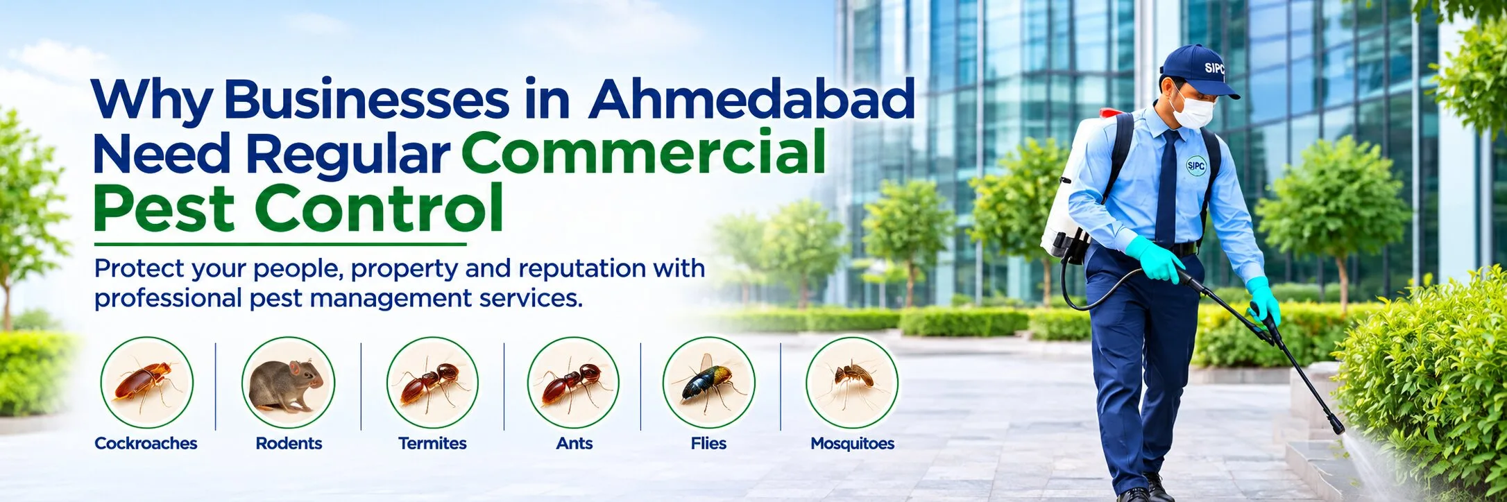 Why Businesses in Ahmedabad Need Regular Commercial Pest Control