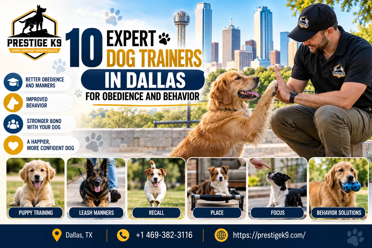 10 Expert Dog Trainers in Dallas for Obedience and Behavior