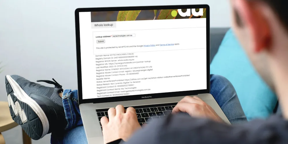 The Main Features That Make Address King a Convenient Link Directory