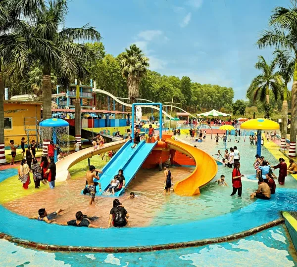 Best Thrill Rides for Non-Stop Entertainment