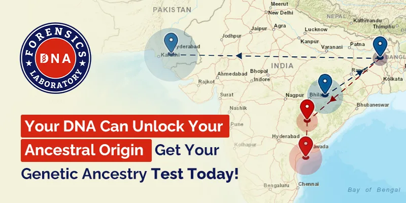 Discover Your Family Roots with Accurate DNA Ancestry Testing Procedure