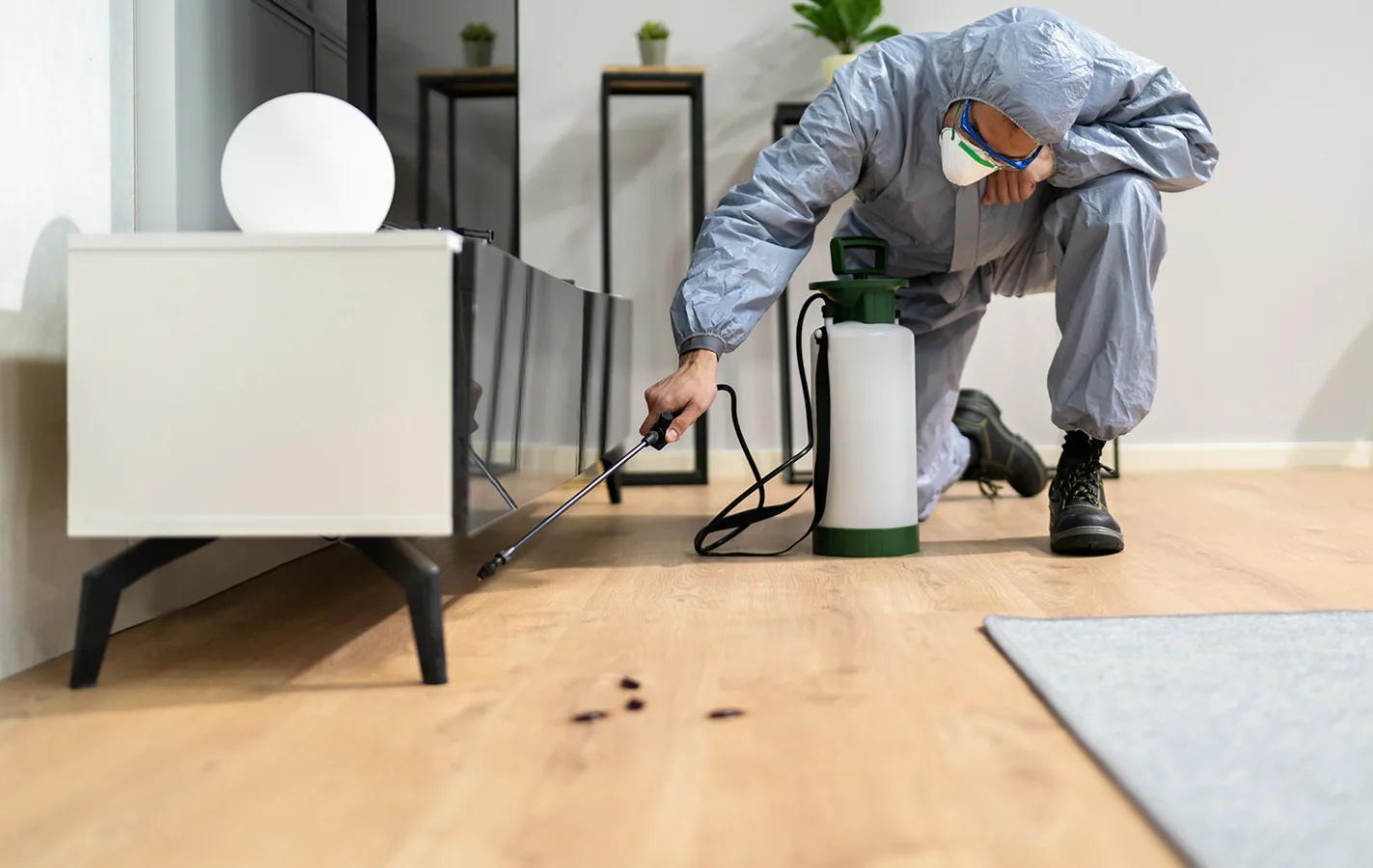 General Pest Control in Cleveland, Ohio: What Does It Cover?