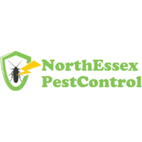 Squirrel Control Services Colchester: Protecting Your Property from Squirrel Problems