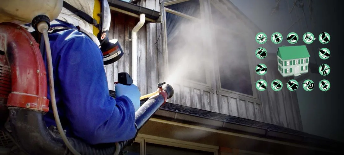 Commercial Pest Control in Essex to Protect Your Business and Reputation