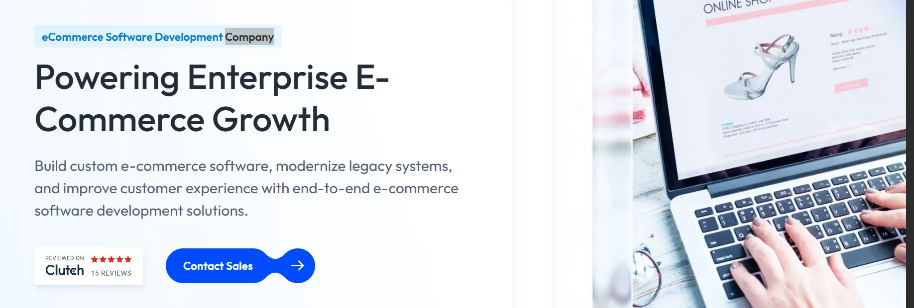 Custom Marketplace Development: Building the Next Amazon or Etsy