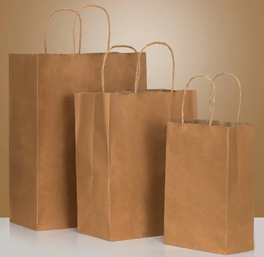 How Can Canadian Retailers Choose the Right Paper Grocery Bags in Bulk?