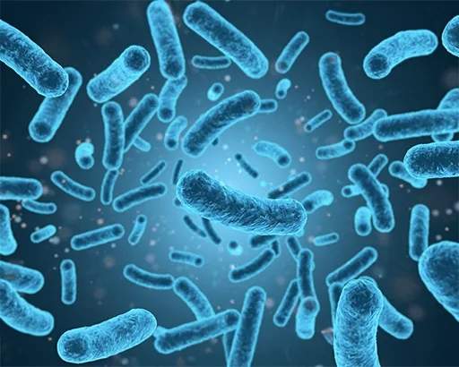 Probiotic Contract Manufacturer – Your Trusted Partner for Quality Probiotic Solutions
