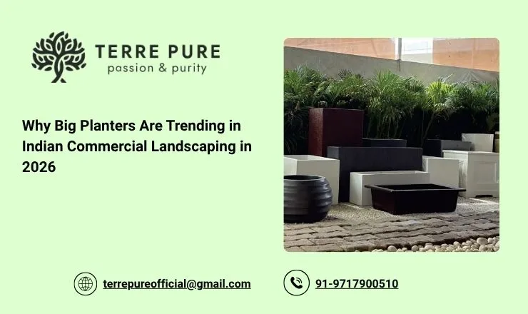 Why Big Planters Are Trending in Indian Commercial Landscaping in 2026