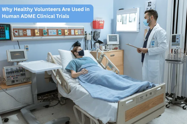 Why Healthy Volunteers Are Used in Human ADME Clinical Trials