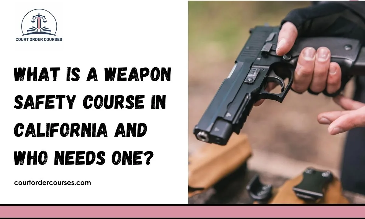 What Is a Weapon Safety Course in California and Who Needs One?