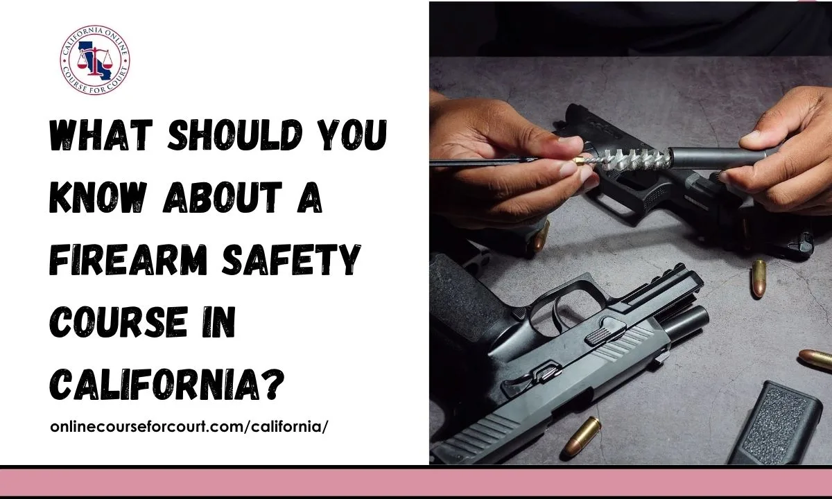 What Should You Know About a Firearm Safety Course in California?