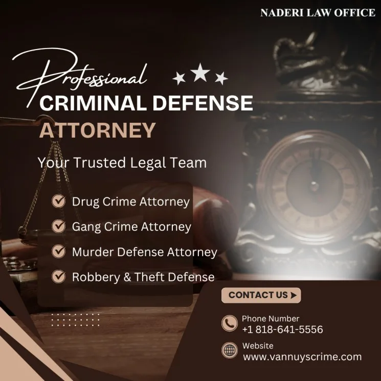 How Does a Criminal Defense Attorney Build a Defense Strategy?