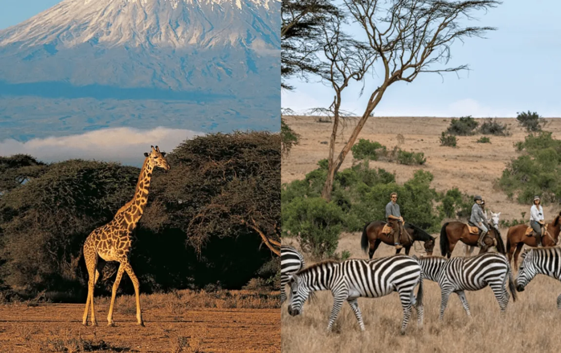 Tanzania vs Kenya Safari: Which Destination Should You Choose?