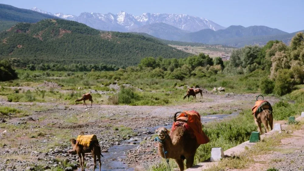 Morocco Atlas Mountains Map Explained for Travelers