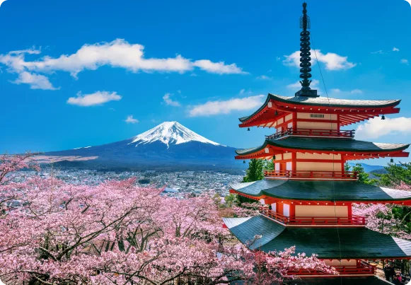 To conquer the Japanese language- the best route to an international career A language which opens doors worldwide