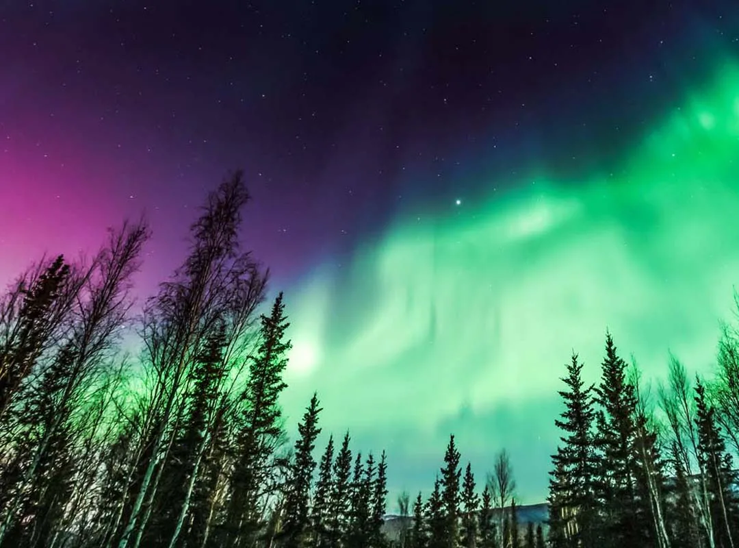 Travel Packages to See the Northern Lights with Adventure Activities Included