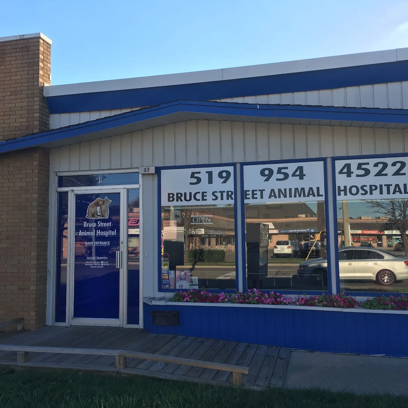 Veterinary Hospital Kitchener: Complete Guide to Veterinary Care for Dogs and Cats