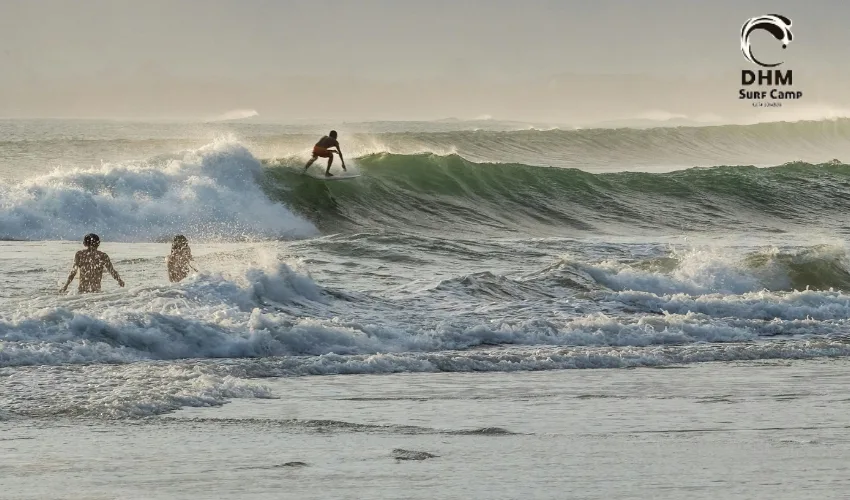 Why Surfcamp Bali is the Perfect Choice for Beginners and Pros Alike?