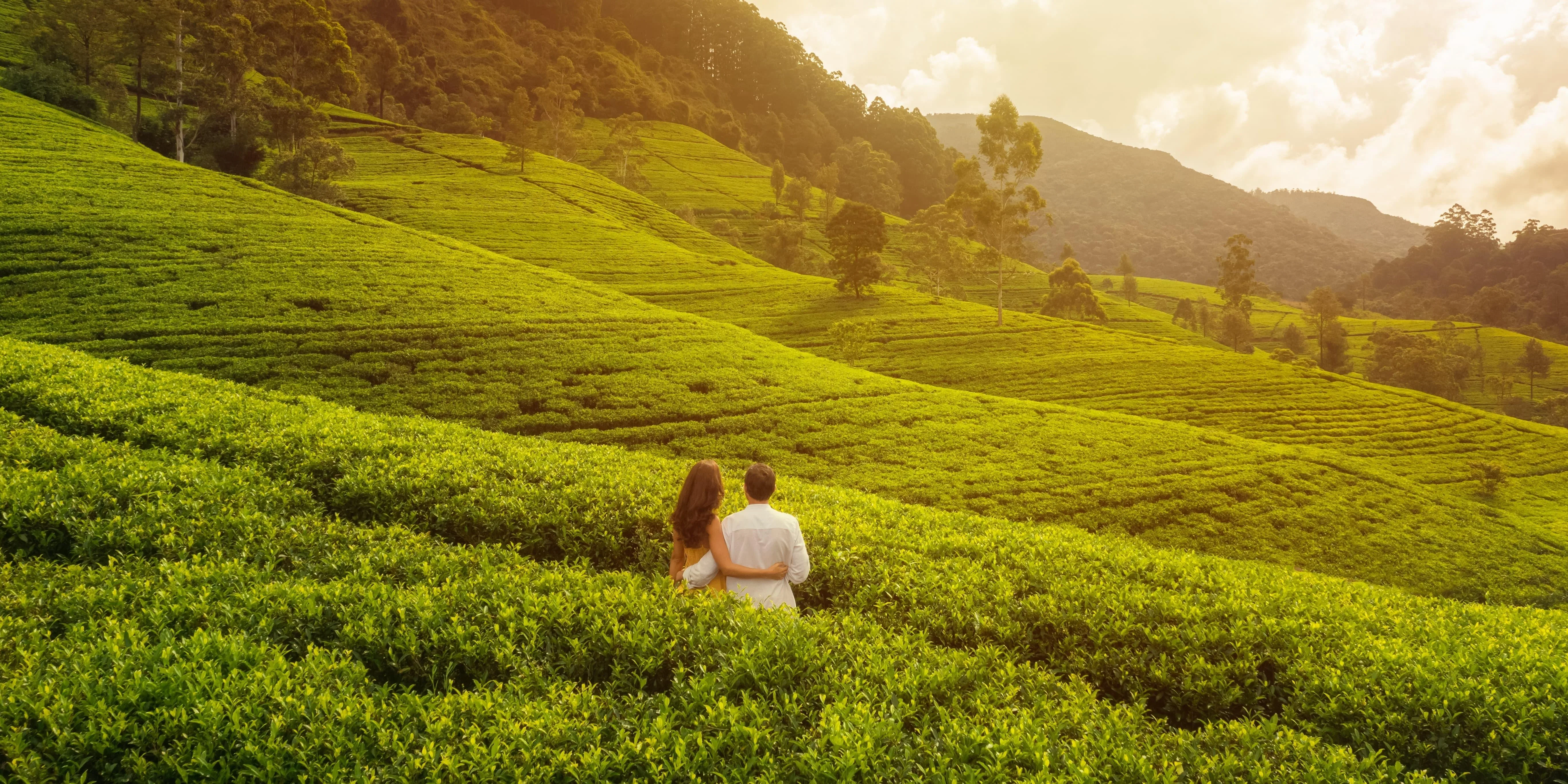 Best Time to Visit Kerala: Plan Your Perfect Kerala Holiday