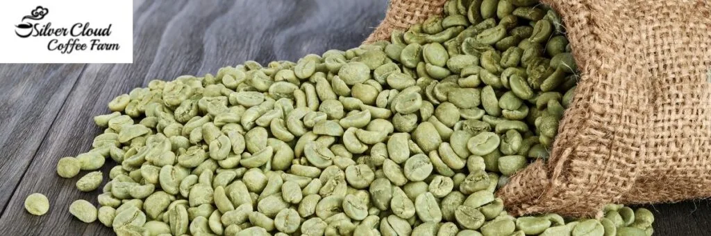 Exploring the essence of green bean coffee