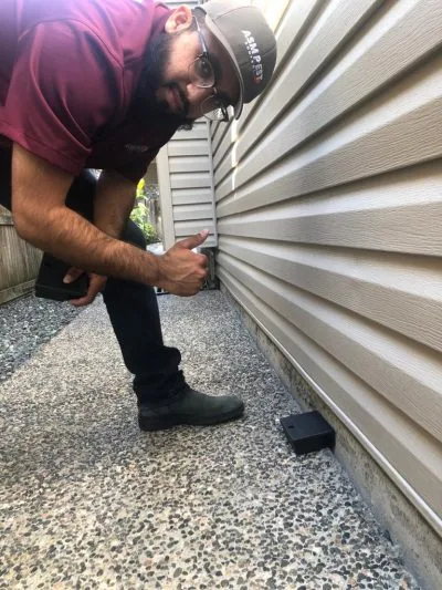 Complete Rat and Mice Control Langley Solutions by ASM Pest Control
