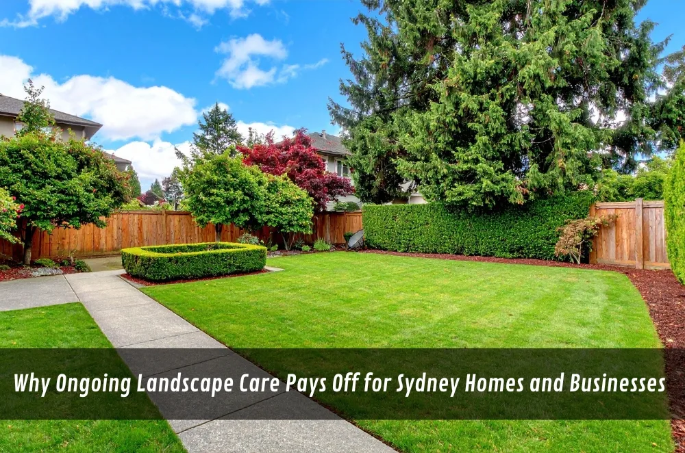 Why Ongoing Landscape Care Pays Off for Sydney Homes and Businesses