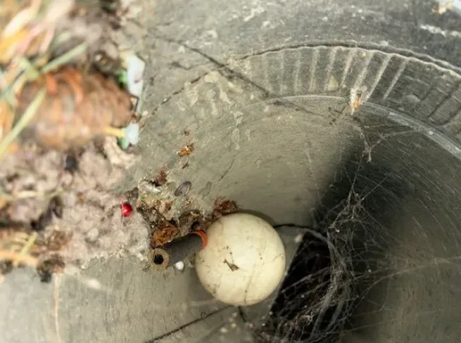 Dryer Vent Cleaning Birmingham AL: Protect Your Home with Professional Dryer Vent Cleaning Services