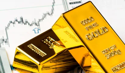Digital Gold & Silver Investment Solutions for Financial Advisers | RushGold
