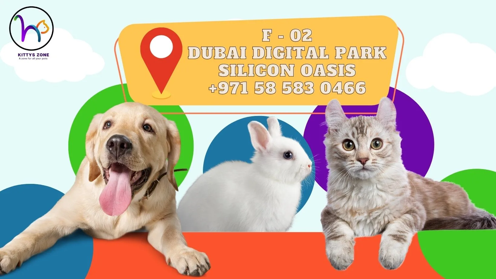 Cats for Free Adoption in Dubai & Pet Care Services Guide